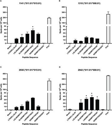 Identification of a DRB3*011:01-restricted CD4+ T cell response against bovine respiratory syncytial virus fusion protein